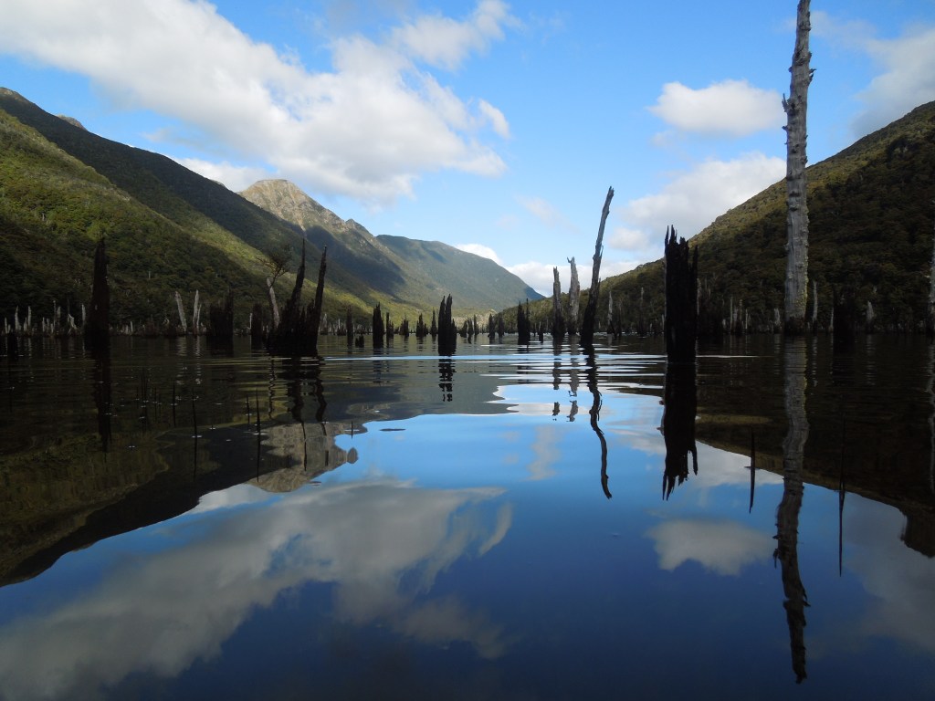 26 days in the&nbsp;Kahurangi